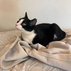 Meet your Posher, Ol